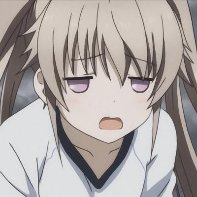菊